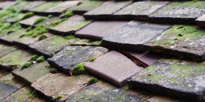 Fifield roof repair costs